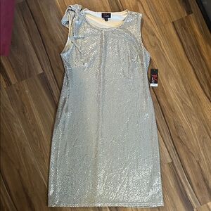 Elegant Silver/cream Sequin Mini Dress